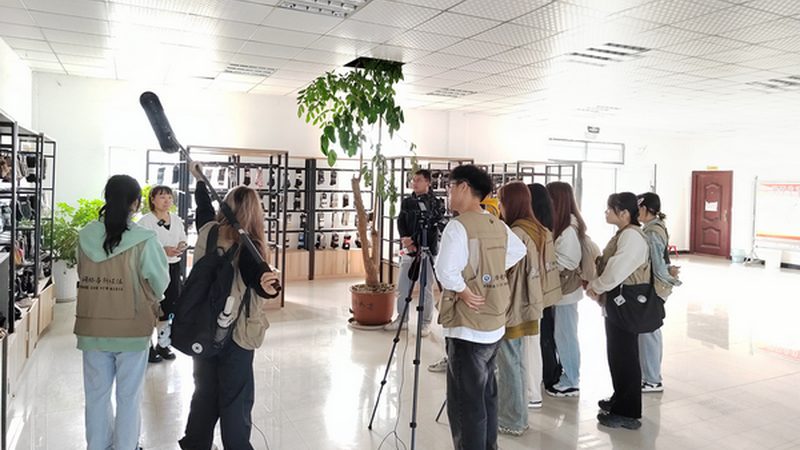 MG动画角色设计软件：揭秘设计与技术的完美融合**