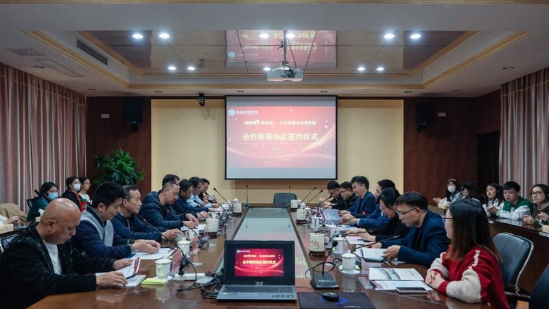品牌发布会活动策划：揭秘专业公司背后的策略与考量