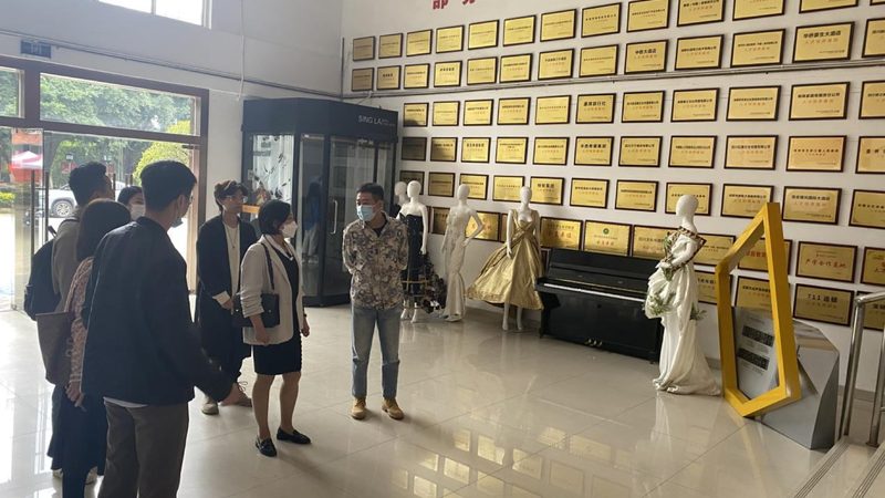 MG动画与Flash：动画制作中的双剑客，如何选择？**
